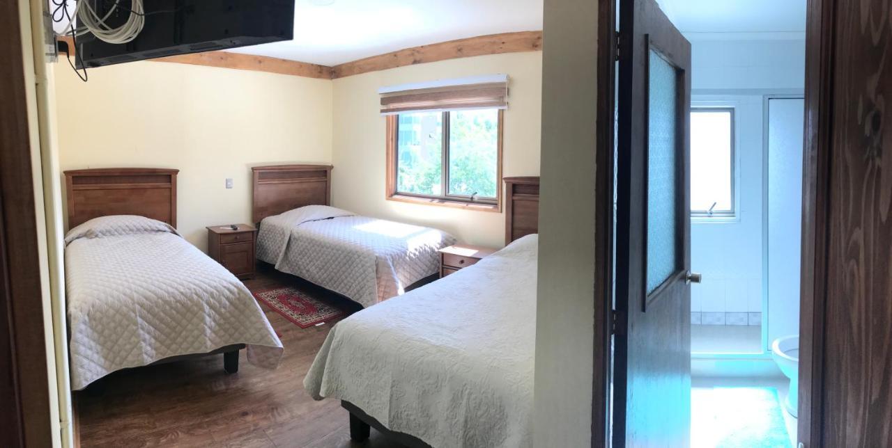 Hostal Entre Araucarias 特木科 外观 照片